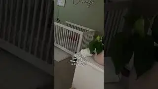 Phantom Crying, myth or real?!