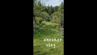 Bašta u Njemačkoj, losos sa žara i za kraj bosanska kafa...