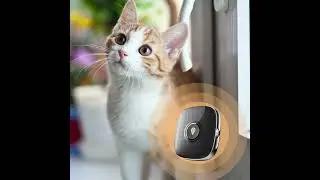 New developed Water resistance 4G Pets Cats Animals GPS Tracker pendant with GEO Fence app alarm ale