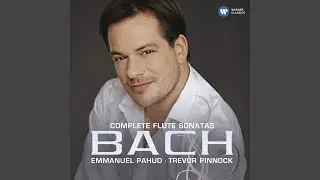 Flute Sonata in E Minor, BWV 1034: III. Andante
