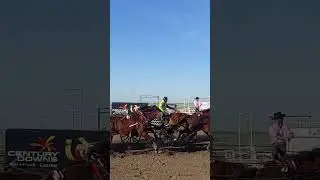 Western Pro Chuck Wagon Races - HIGH RIVER ALBERTA #chuckwagonraces #wpca #highriver #alberta