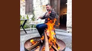 Asi Mavi