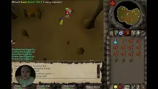 i collected 16 limpwurt roots from hill giants in an hour (2004scape)