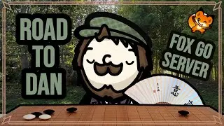 Go | Road to Dan &ndash; First Time Trying Out The Fox Go Server!
