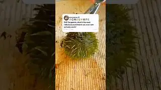 &ldquo;The Funniest Military Punishment Ever&rdquo;