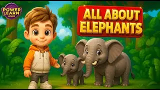 Why Are Elephants So Special? Fun Facts You Didn&rsquo;t Know!