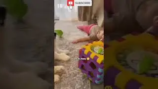 #funny#catvsghost#catvsbaby#catfallingasleep#catfanny#catvairal