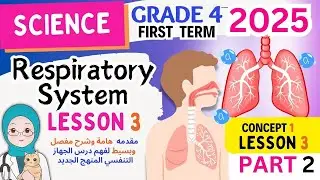 science grade 4 المنهج الجديد Respiratory System - Lesson 3  2025 ساينس رابعه ابتدائى الترم الاول