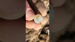 Unexpected Discovery! Abandoned Marble Spill Found on the Creek&rsquo;s Edge