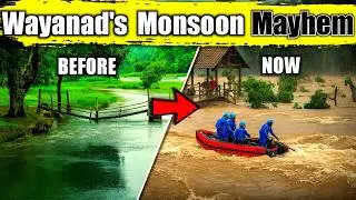 Wayanad Landslide Recovery: What You Need to Know