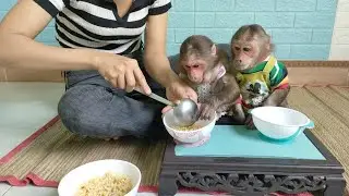 Mimi Kuku helps Mom fry rice for breakfast