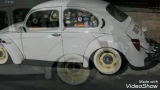 Fusca tala 8