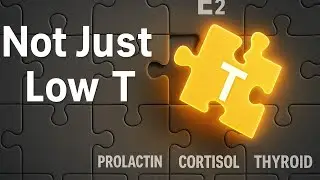 Low Testosterone Lie: The Real Hormones Behind Erectile Dysfunction 