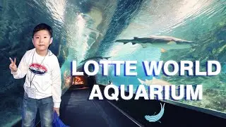 lotte world aquarium Seoul