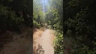 Beautiful Summer Day Along The Gabrieleno Trail, Angeles National Forest #nature