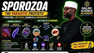 SPOROZOA 1| FULL JAMB, IJMBE, JUPEB AND 100 LEVEL TUTORIAL CLASS #GALADSCIENCEACADEMY