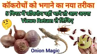 कॉकरोच भगाने का सबसे आसान तरीका 😱 | Cockroach Killer | Remedy | Get Rid Of Cockroach | Lizard | 2026