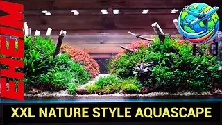 Nature Style Aquascape