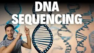 DNA Sequencing: Unraveling the Blueprint of Life | DNA sequencing in Hindi