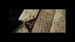 Newt Scamander In The Marauders Map?!