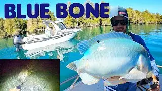 Blue Bone Fishing Inshore Reef - Land based Cod hole at night!