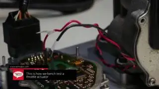 BMW Throttle Actuator Bench Test (Ep. 10)