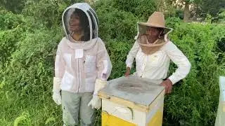 Rustic Roots Sanctuary Beekeeping Mentorship Program