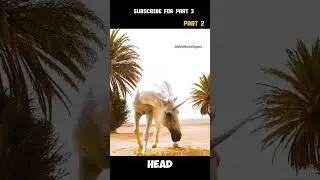 Desert Survival & Monsters (Part 2) | #shorts  #viralshorts #adventuretime #movieplot #moviescene