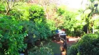 Wendy's Secret Garden - Wet with Rain. Sydney, Australia.