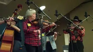 Judy McGarvey - 