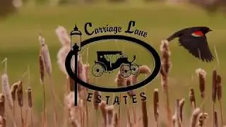Invest in Carriage Lane Estate