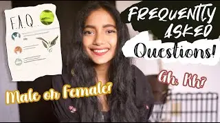 Frequently Asked Questions About Otocinclus & Breeding