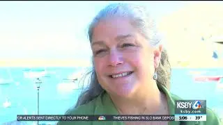 Morro Bay's unique landscape makes for birders paradise during annual festival