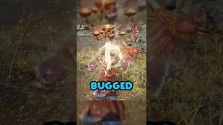 INSANE Recluse BUG  #eldenring #eldenringnightreign #fromsoftware