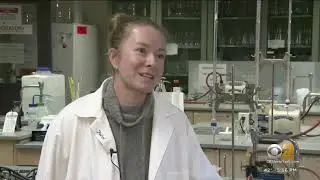 CBS News -Dangerous Bacteria On The Bottom Of Your Shoes.