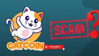 Catcoin Token Review: Legit or Scam?