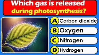 Biology mcqs for MDCAT topic Bioenergetics