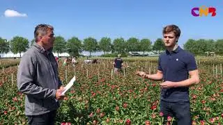 Op bezoek bij... Groot & Groot