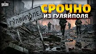 Очень сложная ситуация! Путин гонит орду на Гуляйполе: есть продвижение. ВСУ крошат армию РФ