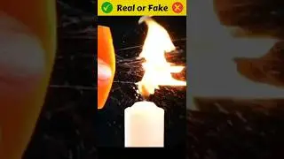 Fire vs Orange Peel Experiment 🔥😱 #shorts