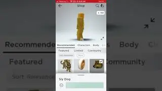 Making a real doge avatar in roblox