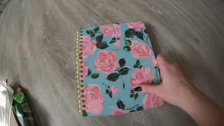 BAN.DO AGENDA REVIEW + UNBOXING / Распаковка-обзор органайзера 2017-2018