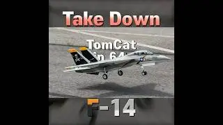 Take Down, Landing, F-14 TomCat, Freewing Twin 64mm EDF