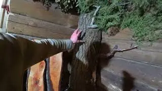 Живая баня у Руслана, поиск живых ручек.