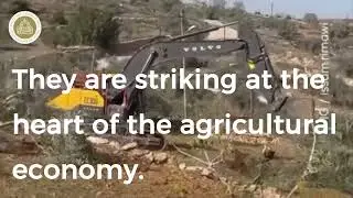Uprooting trees and bulldozing land