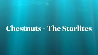 Chestnuts- The Starlites