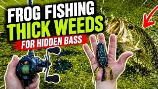 Frog Fishing green lake For MONSTER Bass!