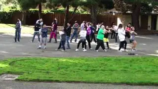 NorCal SONES: Visual Dreams [01.22.11]