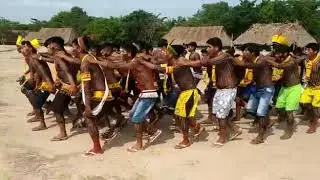 Cultura Kayap&oacute; o povo origin&aacute;rio do Brasil.