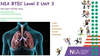 NIA BTEC Sport Level 2 Unit 3 B.2 Respiratory